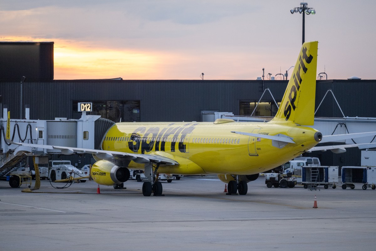Dijital Gücün İnanılmaz Yükselişi: Bir TikToker Spirit Airlines'ı Satın Alabilir mi?