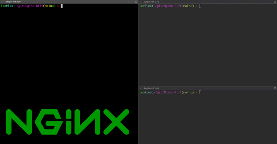 NGINX'te 18 Yıllık Kritik Güvenlik Açığı: Sistemlerinizi Hemen Güncelleyin