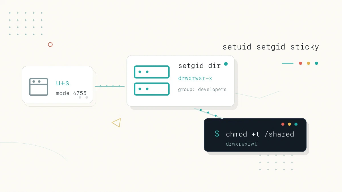setuid, setgid ve Sticky Bit: Özel İzinler ve Kullanım Alanları