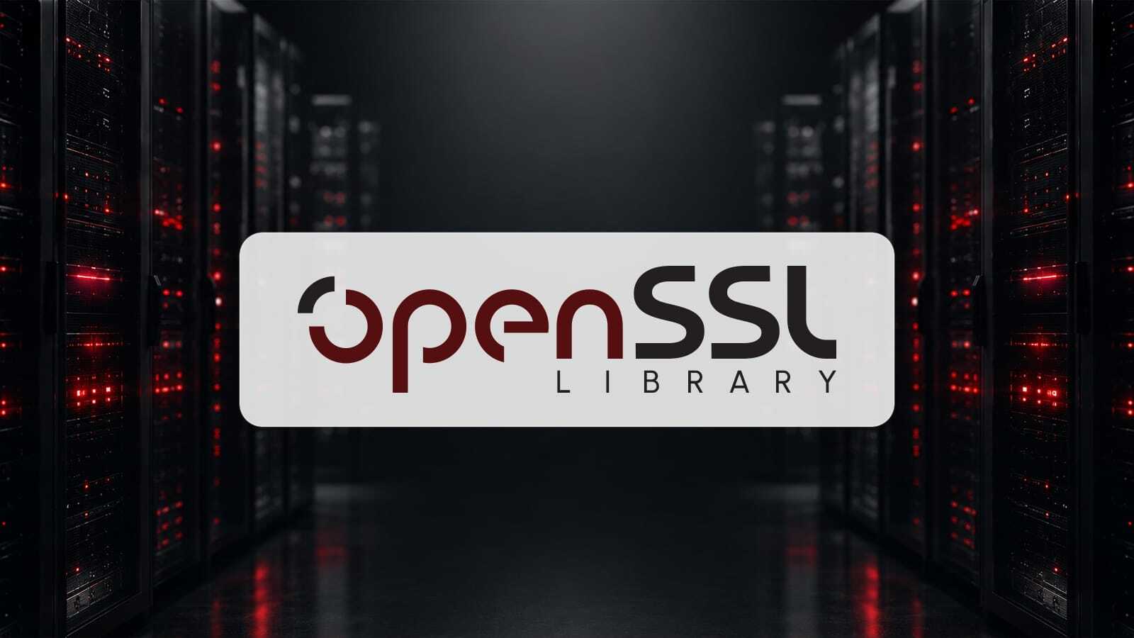 HollowByte Açığı: OpenSSL Sunucularında Yetkisiz Bellek Tüketimi Saldırısı
